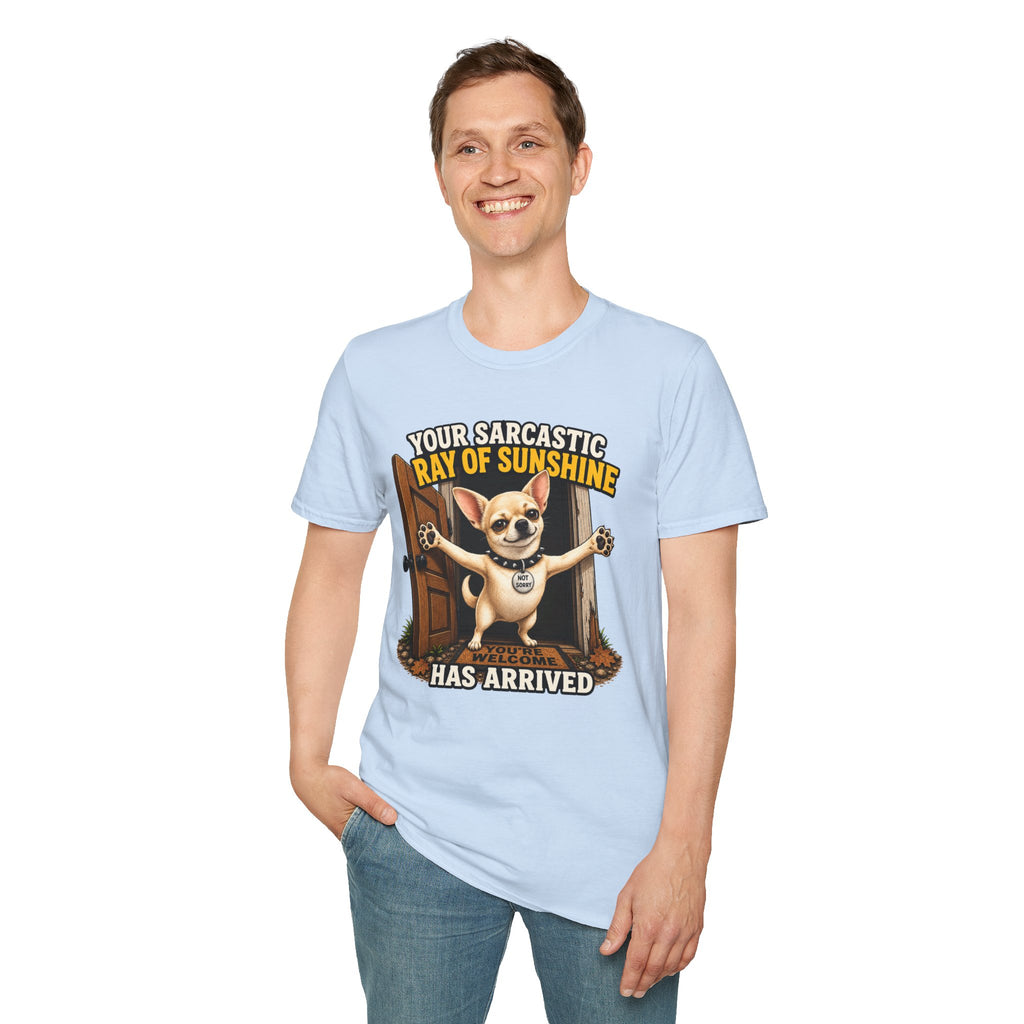 Sarcastic Ray of Sunshine T-Shirt