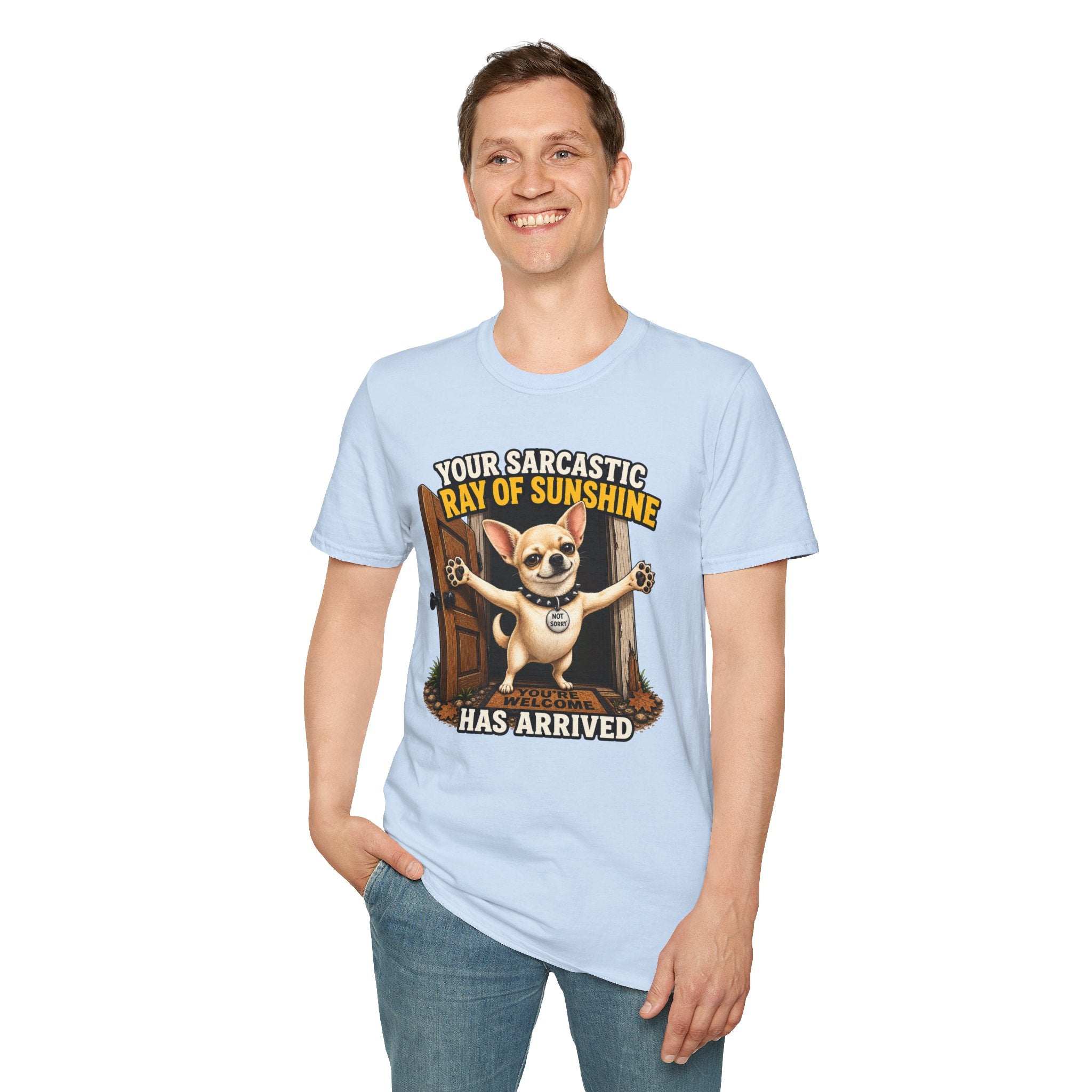 Sarcastic Ray of Sunshine T-Shirt