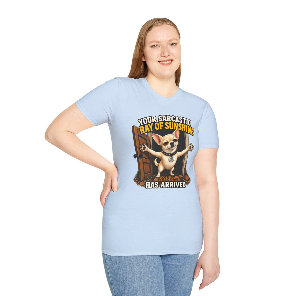 Sarcastic Ray of Sunshine T-Shirt