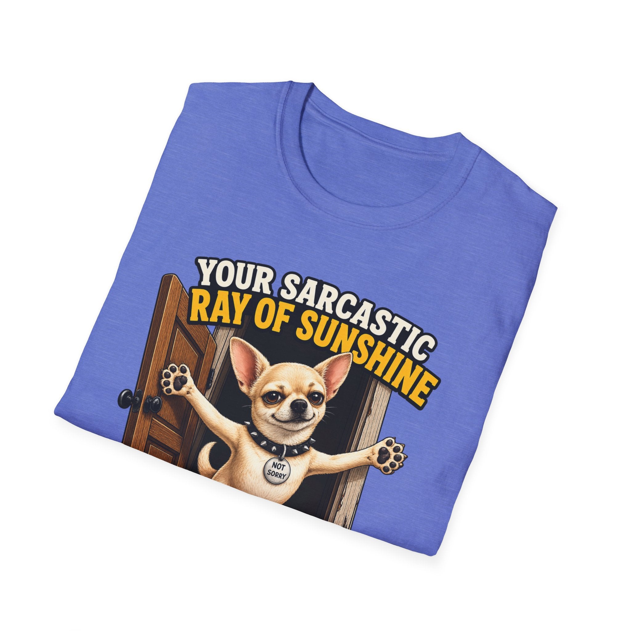 Sarcastic Ray of Sunshine T-Shirt