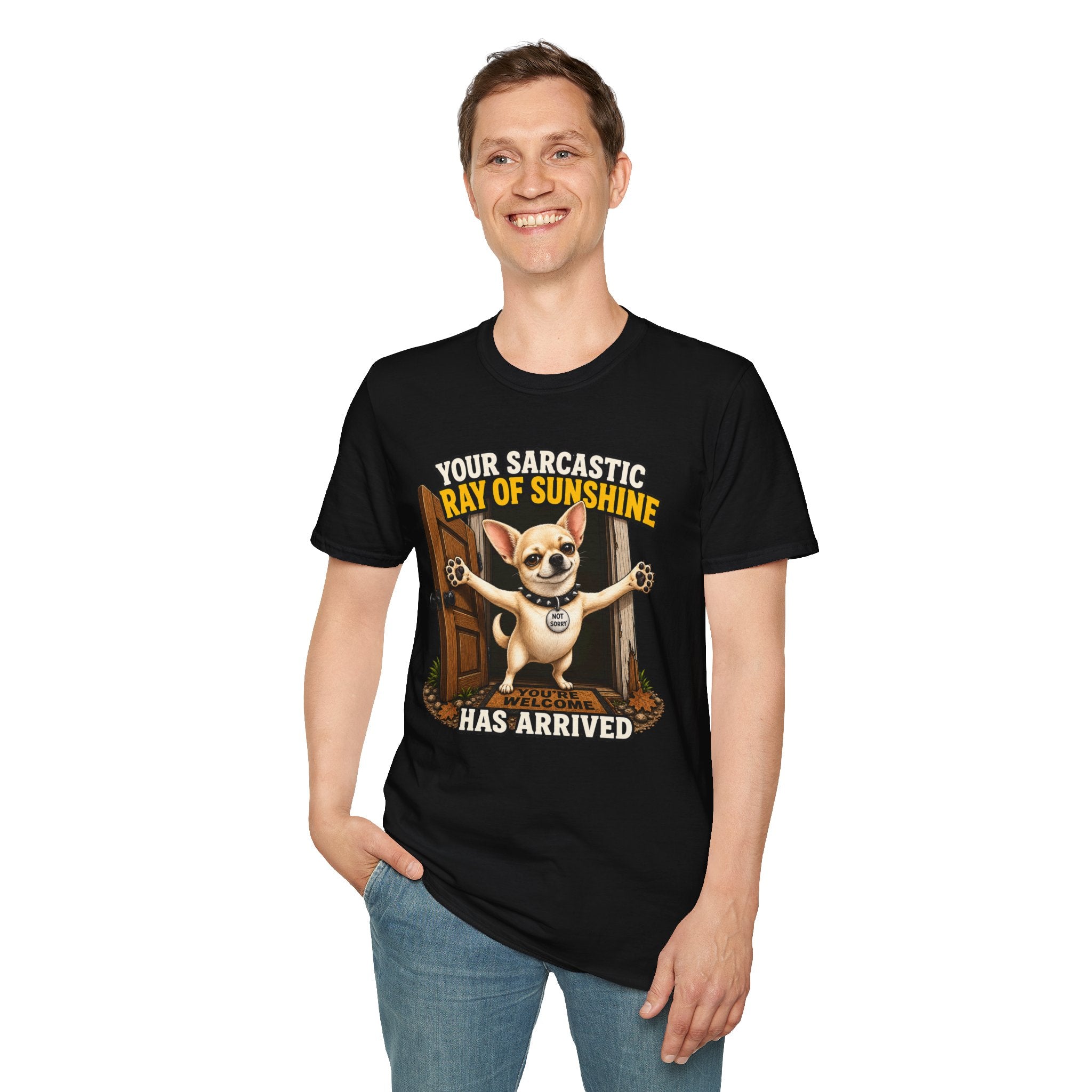 Sarcastic Ray of Sunshine T-Shirt