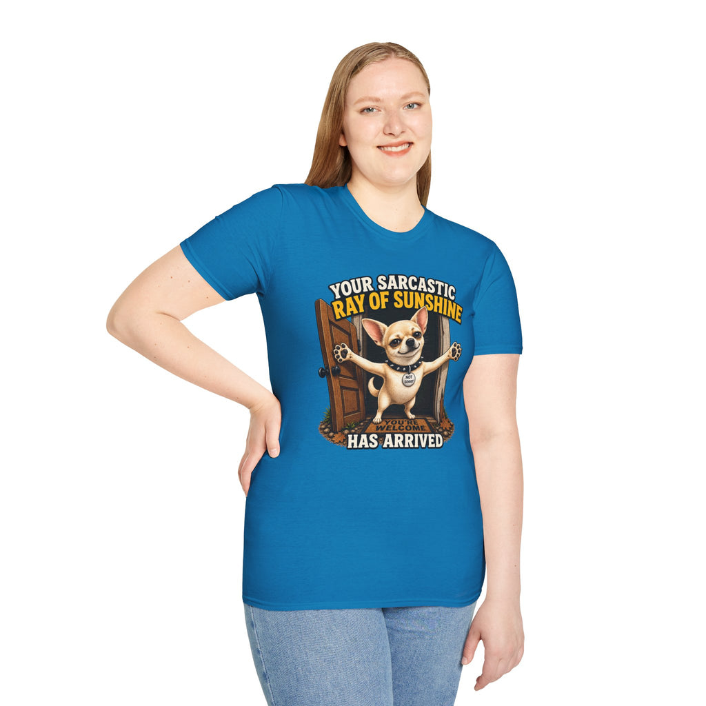 Sarcastic Ray of Sunshine T-Shirt