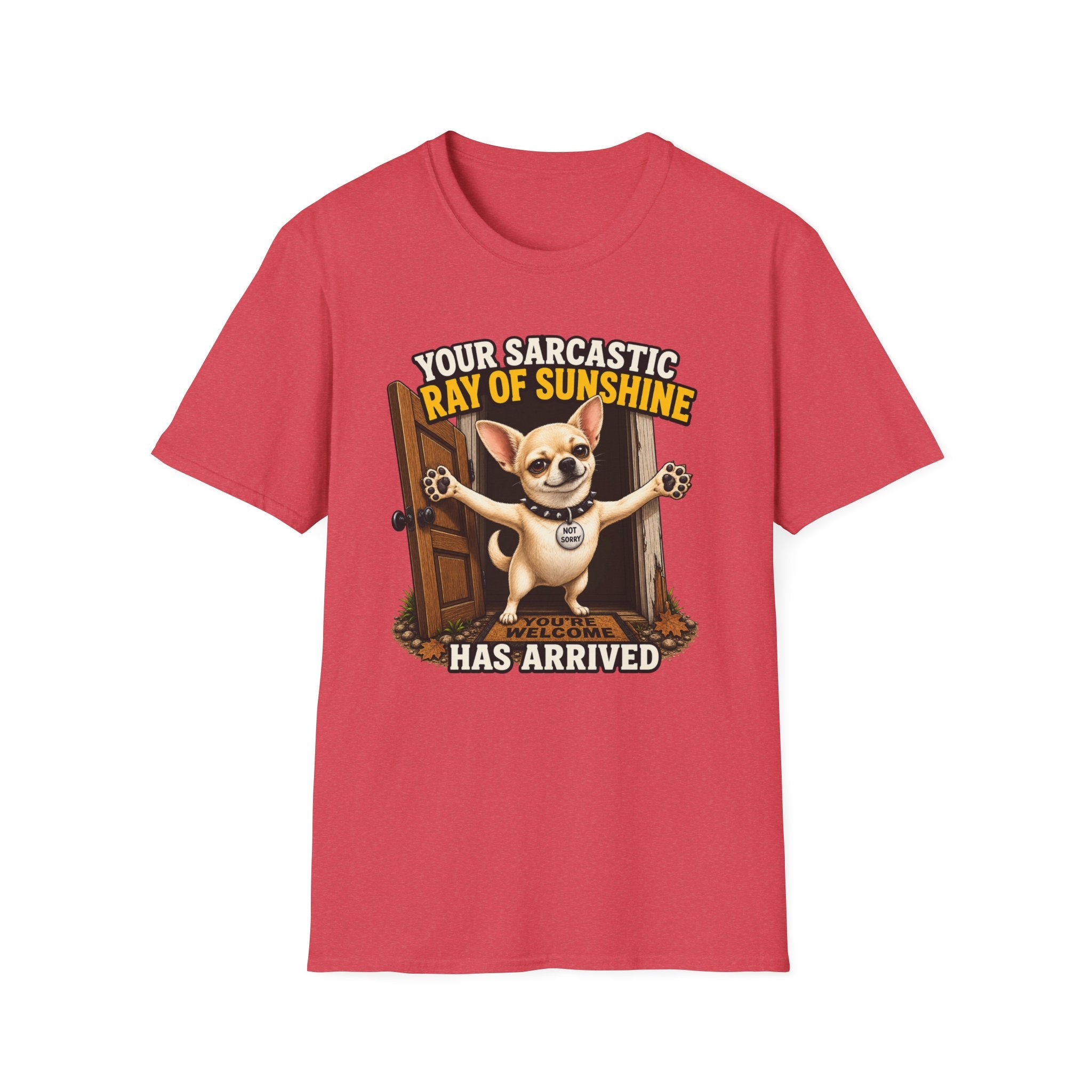 Sarcastic Ray of Sunshine T-Shirt