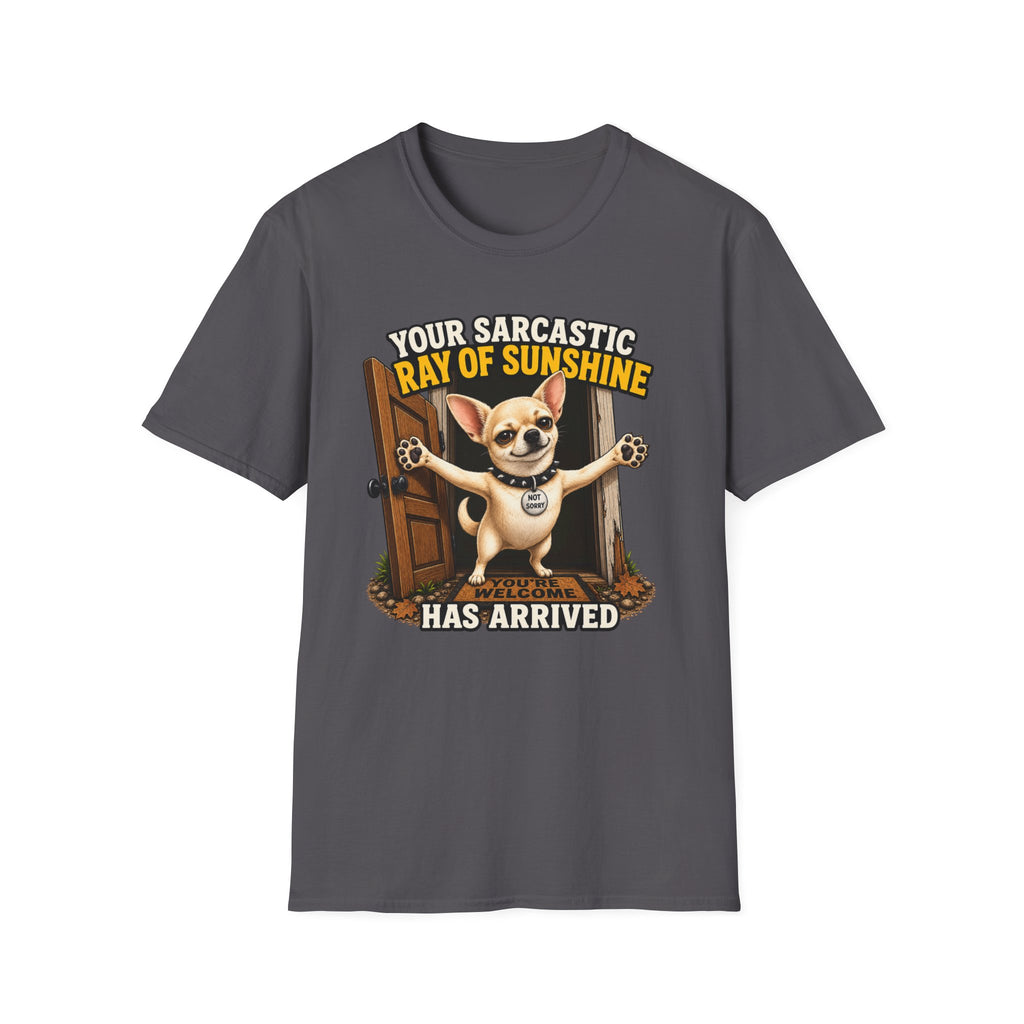 Sarcastic Ray of Sunshine T-Shirt