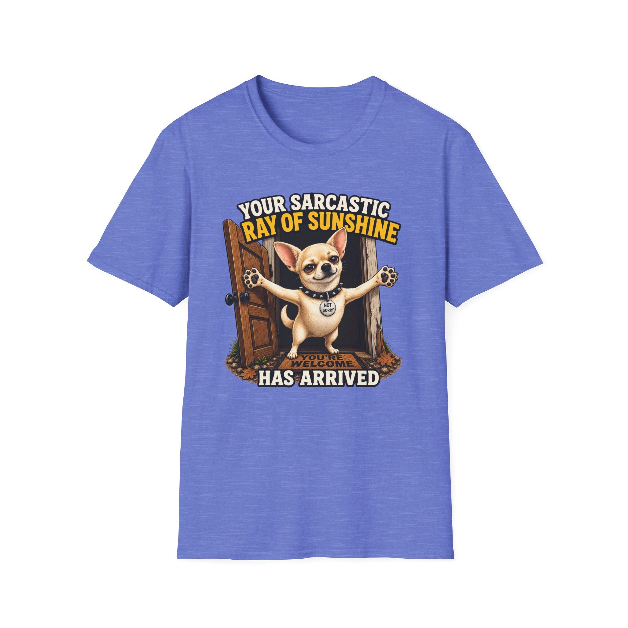Sarcastic Ray of Sunshine T-Shirt