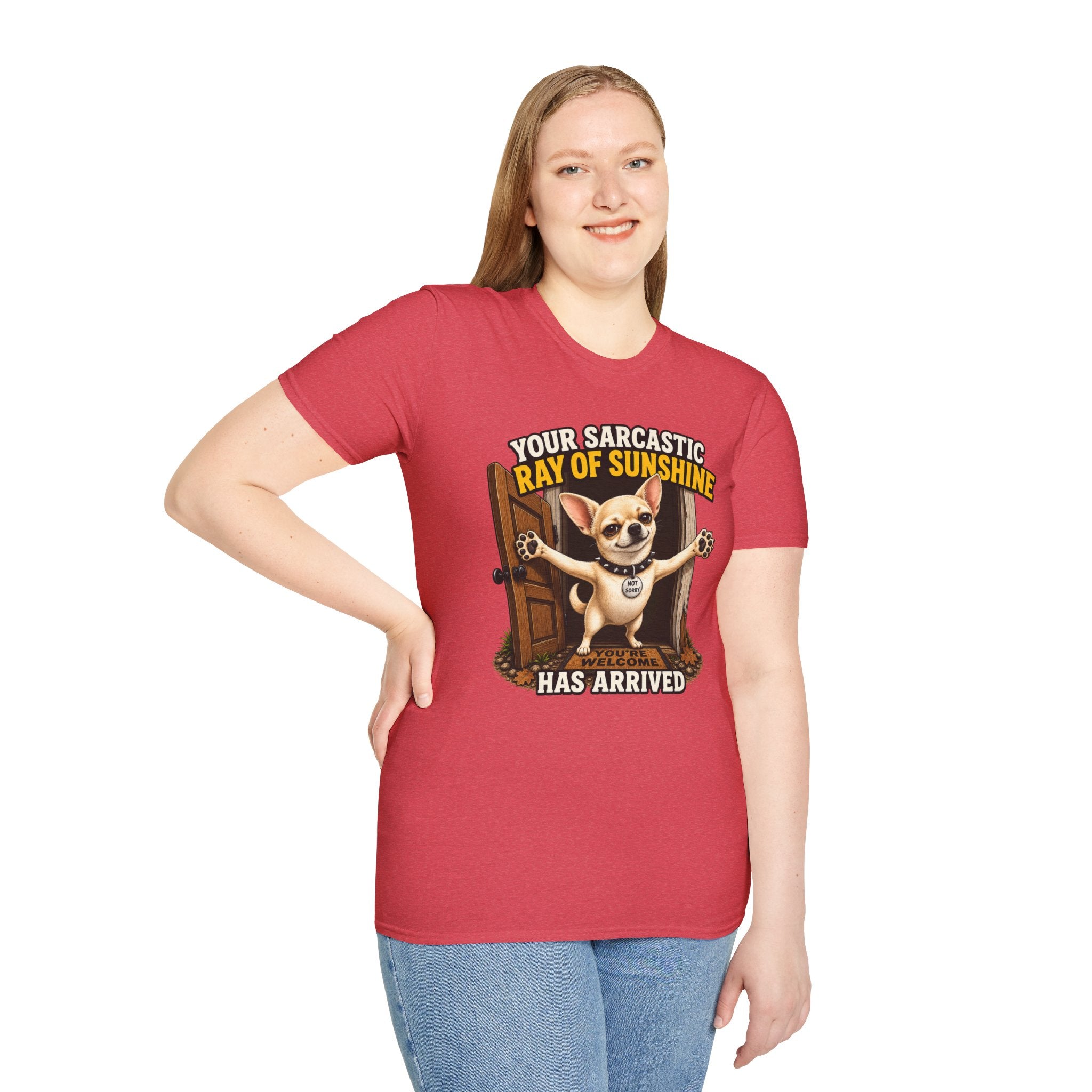 Sarcastic Ray of Sunshine T-Shirt