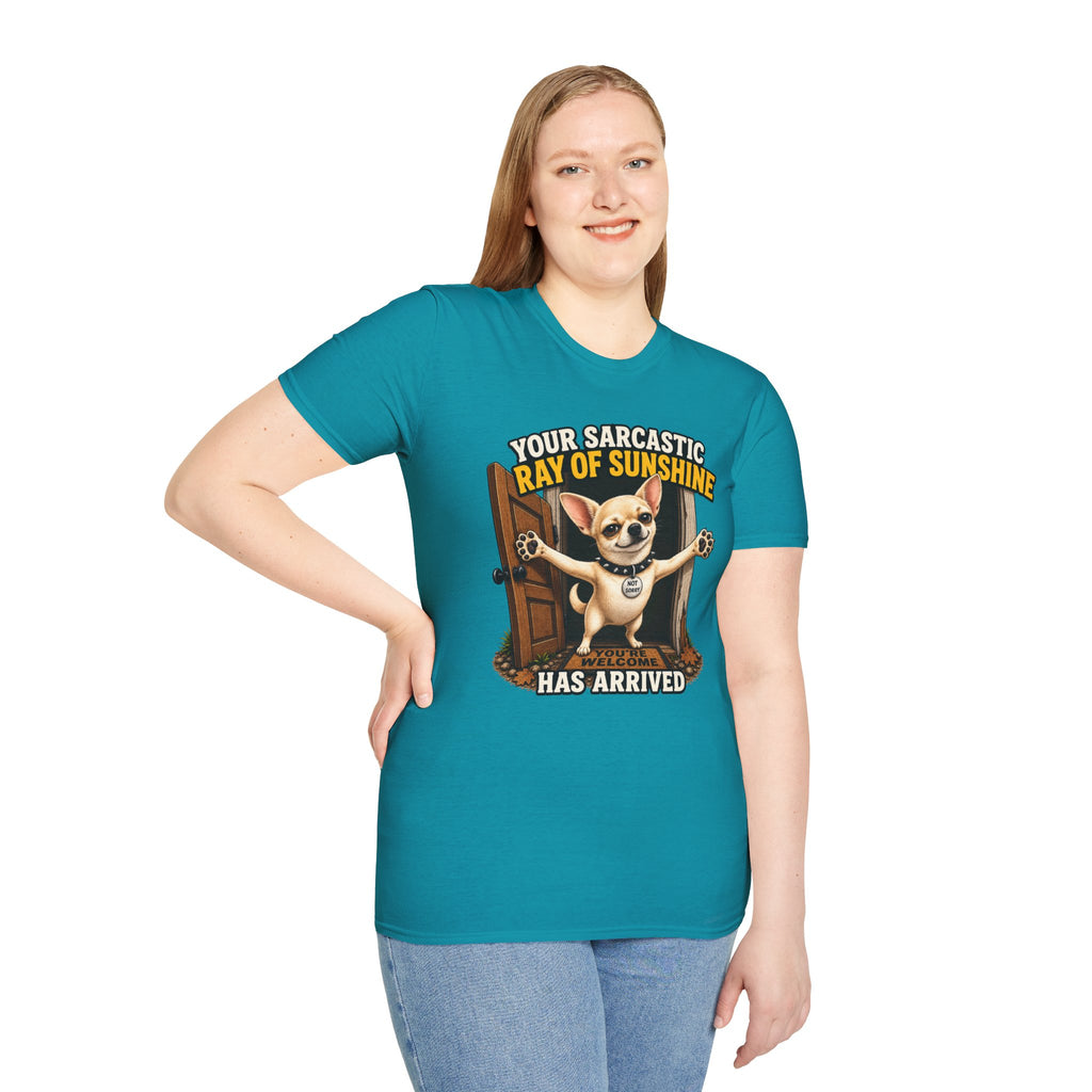 Sarcastic Ray of Sunshine T-Shirt