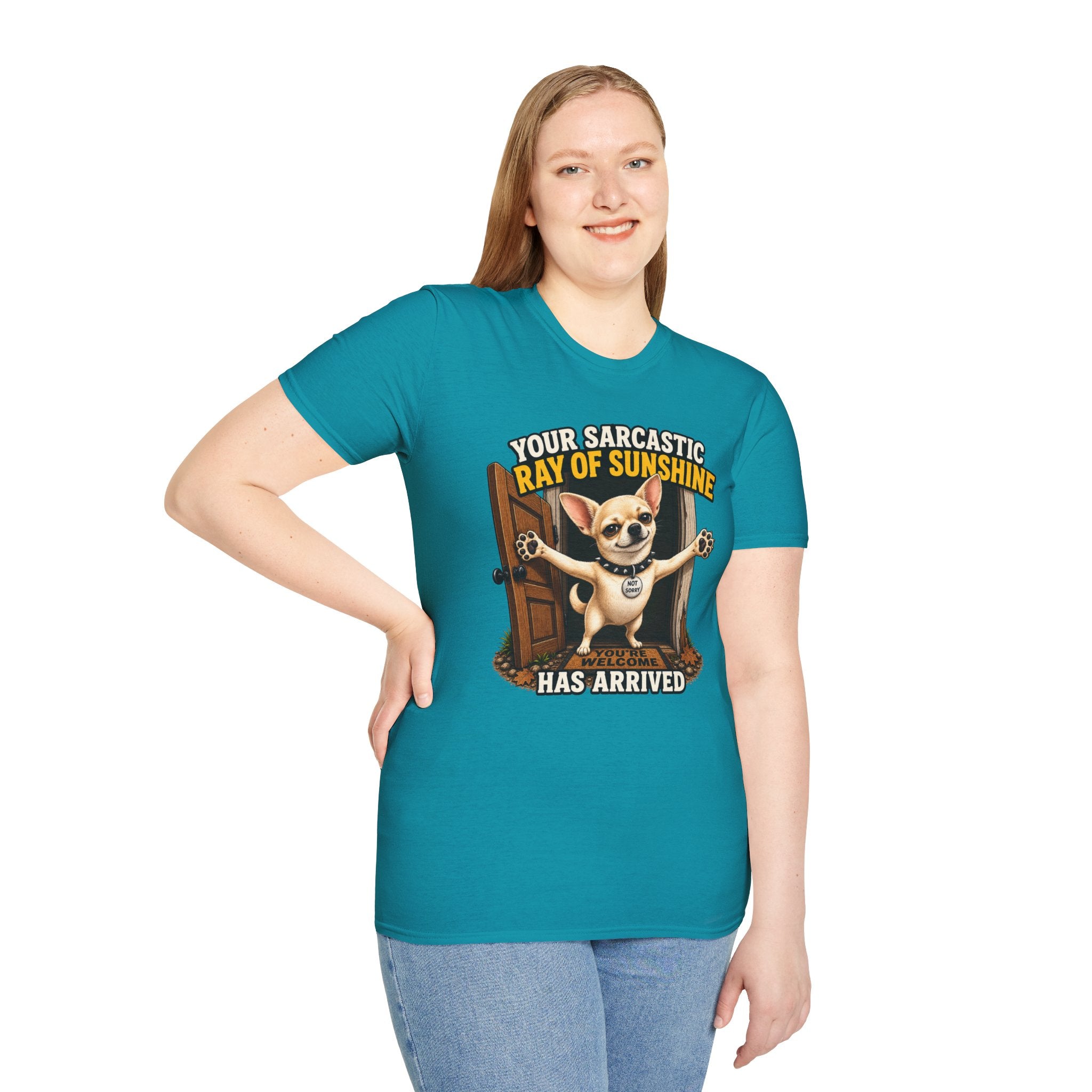 Sarcastic Ray of Sunshine T-Shirt