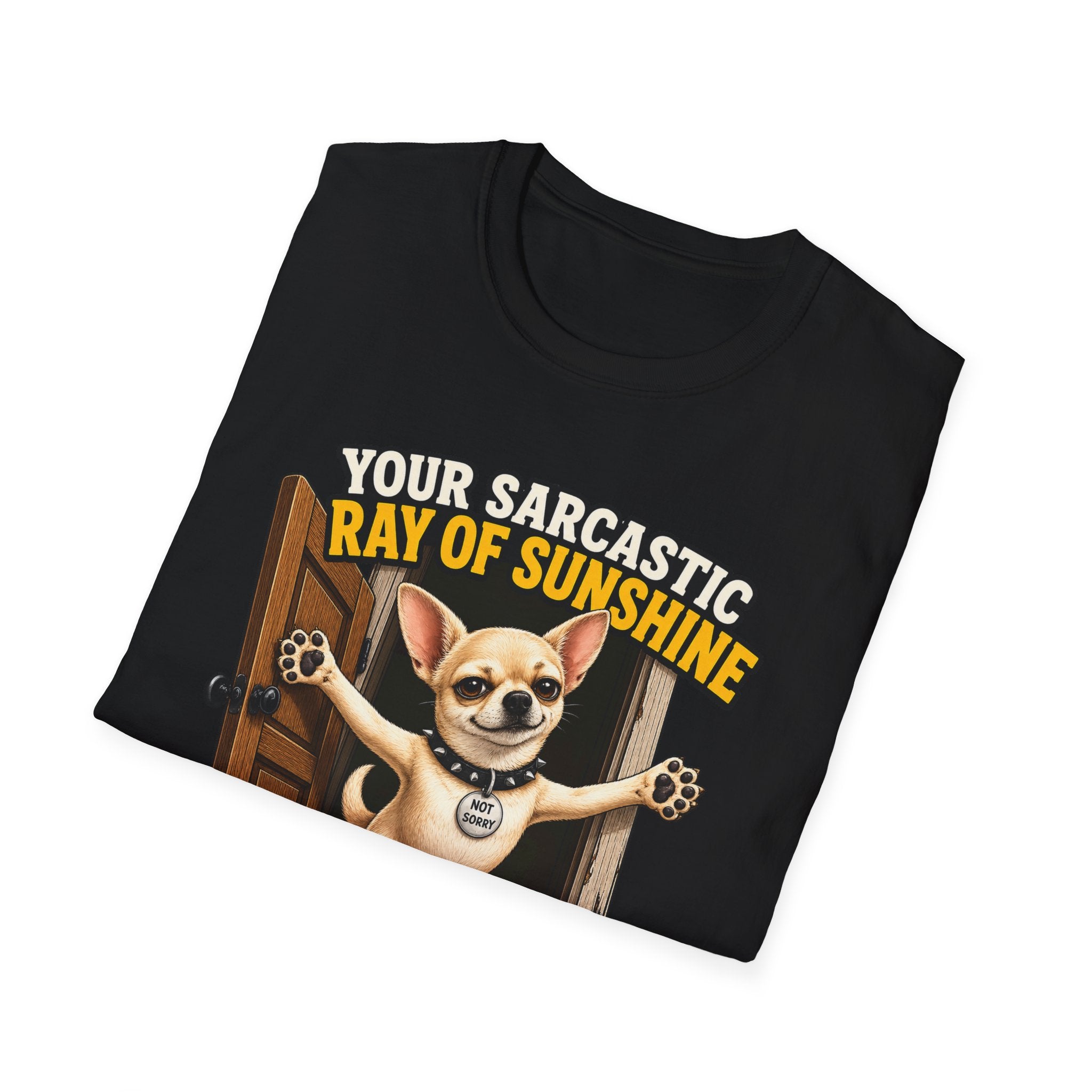 Sarcastic Ray of Sunshine T-Shirt